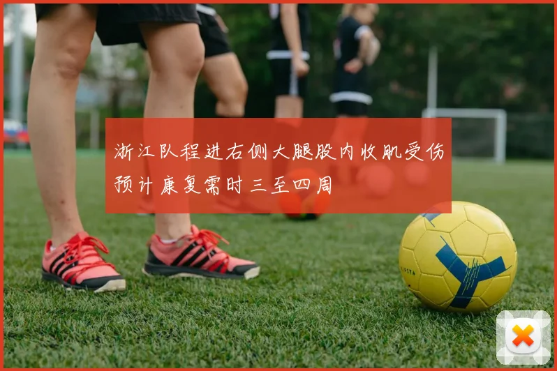 浙江队程进右侧大腿股内收肌受伤预计康复需时三至四周