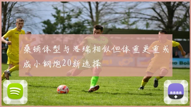 桑顿体型与洛瑞相似但体重更重或成小钢炮20新选择